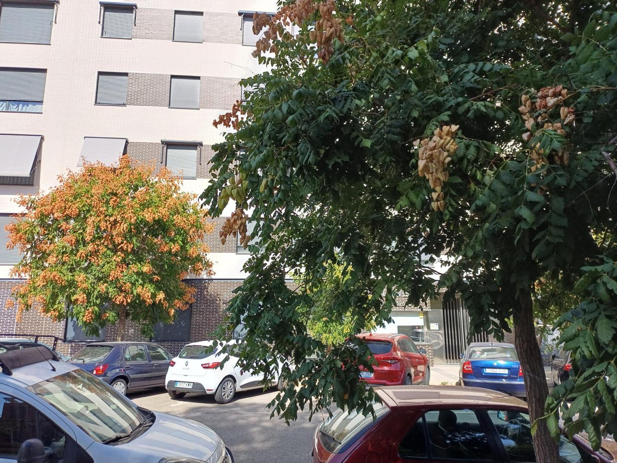 Estudios Nuevos Madrid Centro Ngoại thất bức ảnh