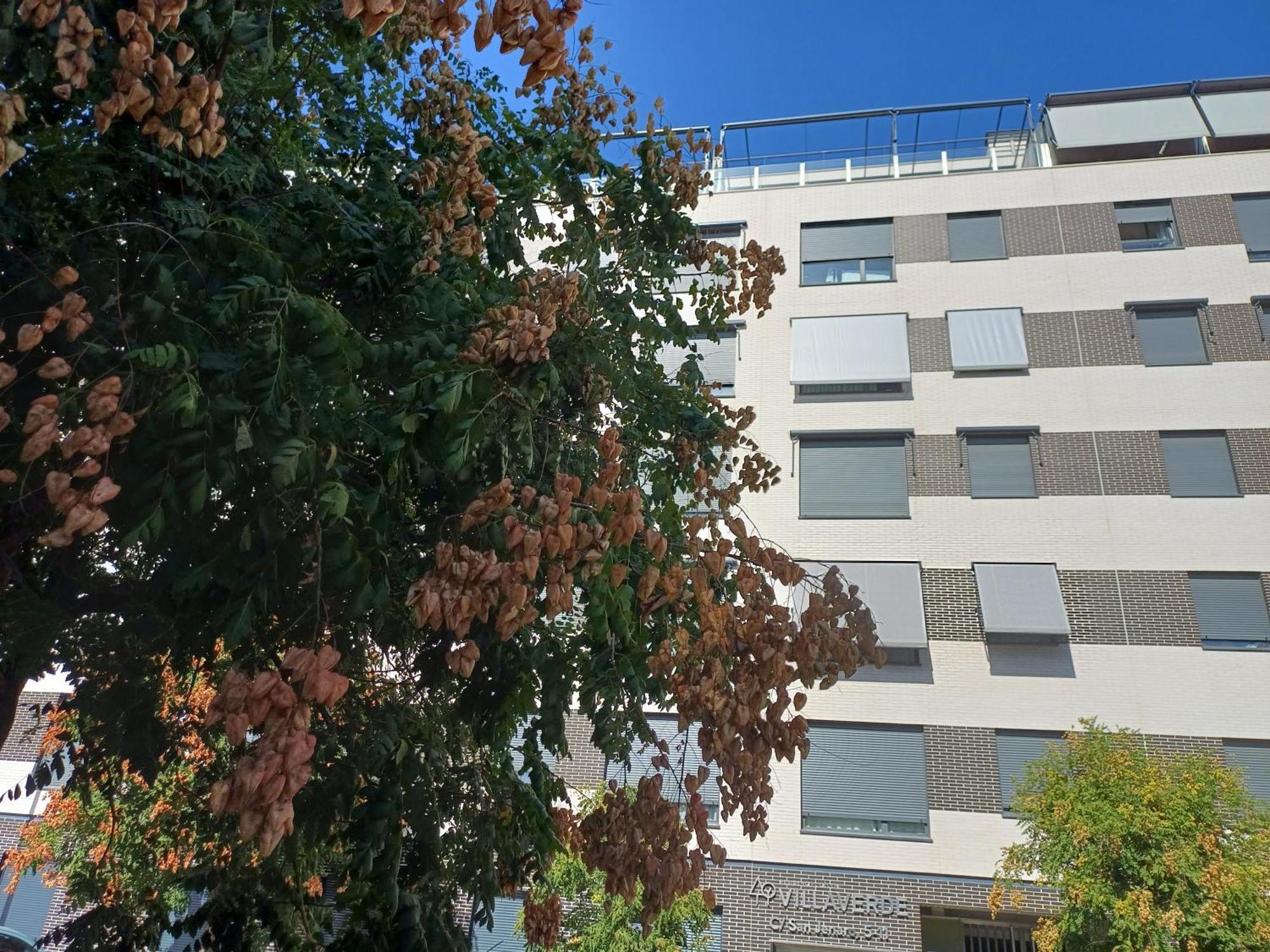 Estudios Nuevos Madrid Centro Ngoại thất bức ảnh